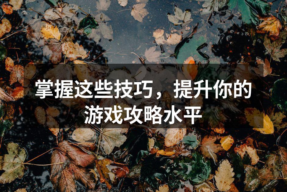 游戏攻略示例